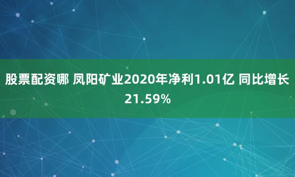 股票配资哪 凤阳矿业2020年净利1.01亿 同比增长21.59%